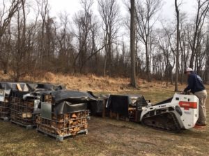 firewood for sale in Harrisburg